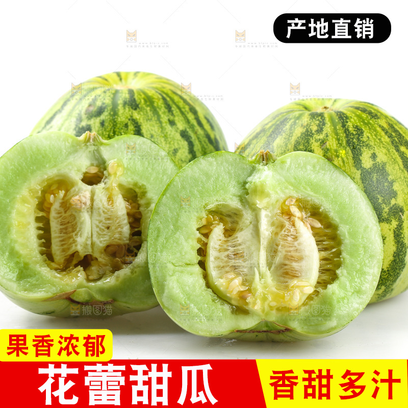 白底上的花蕾甜瓜