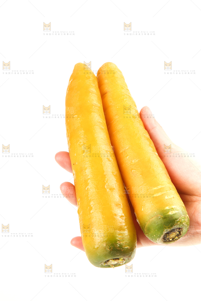 白底上的黄萝卜