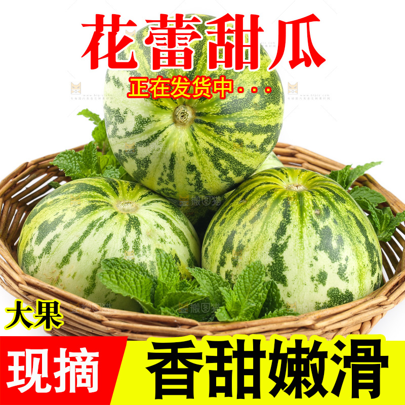 白底上的花蕾甜瓜