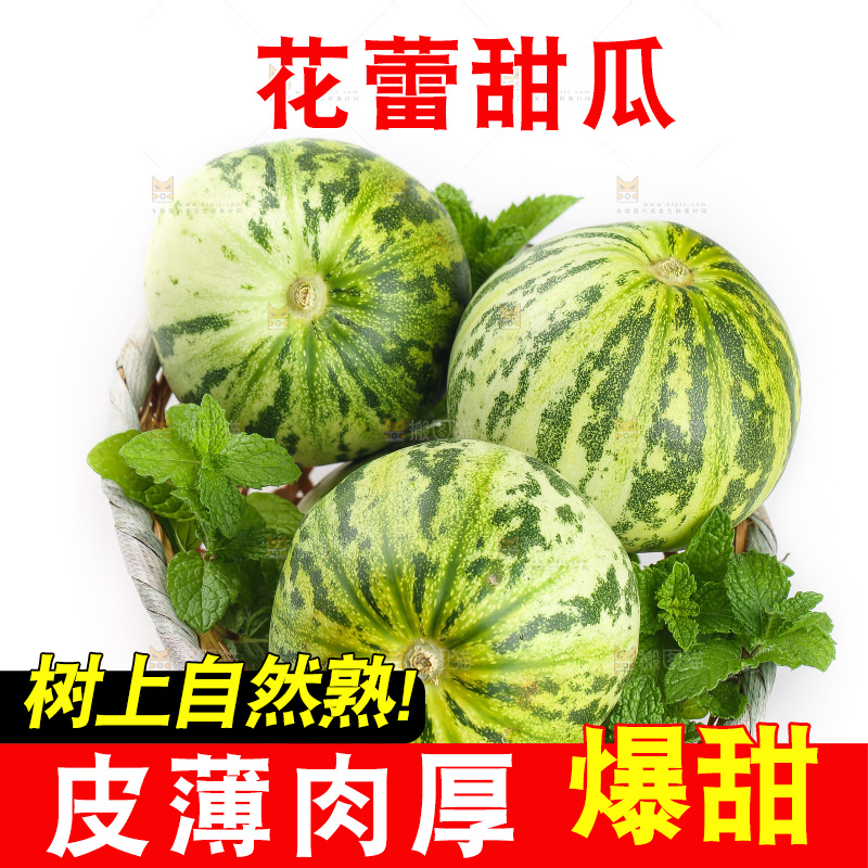 白底上的花蕾甜瓜