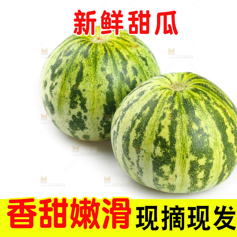 白底上的花蕾甜瓜