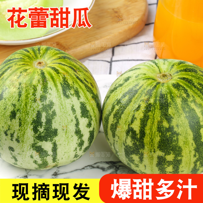浅底上的花蕾甜瓜