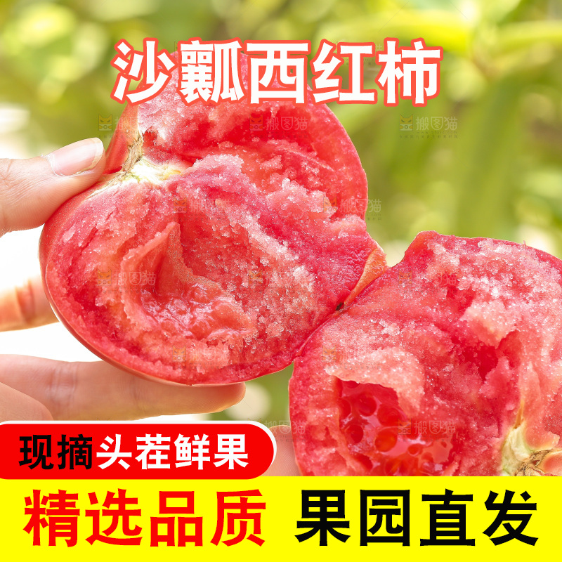 手里拿着沙瓤番茄