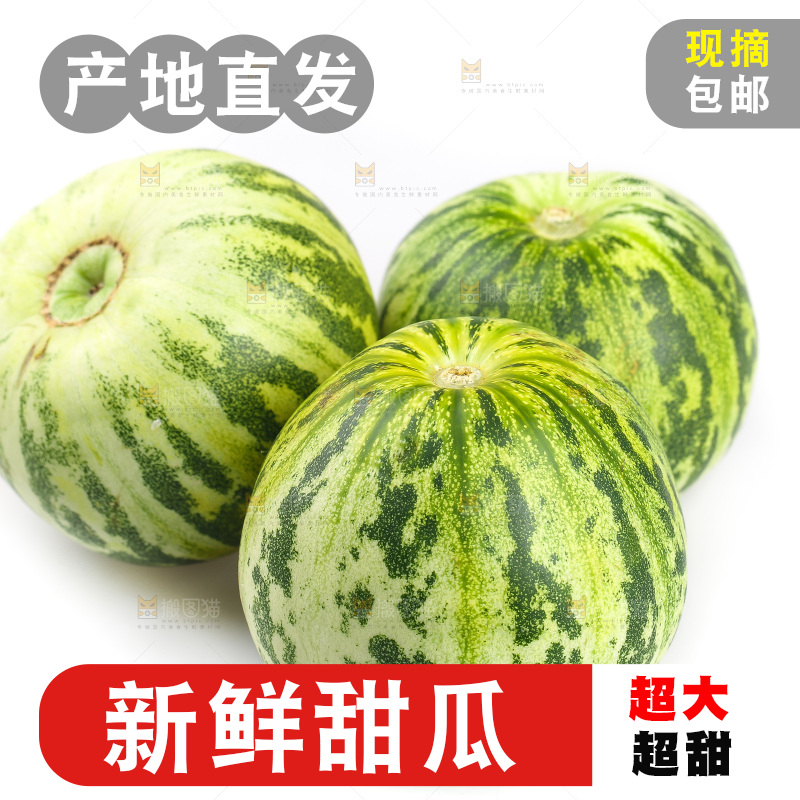 白底上的花蕾甜瓜