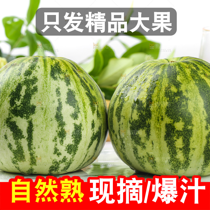 浅底上的花蕾甜瓜