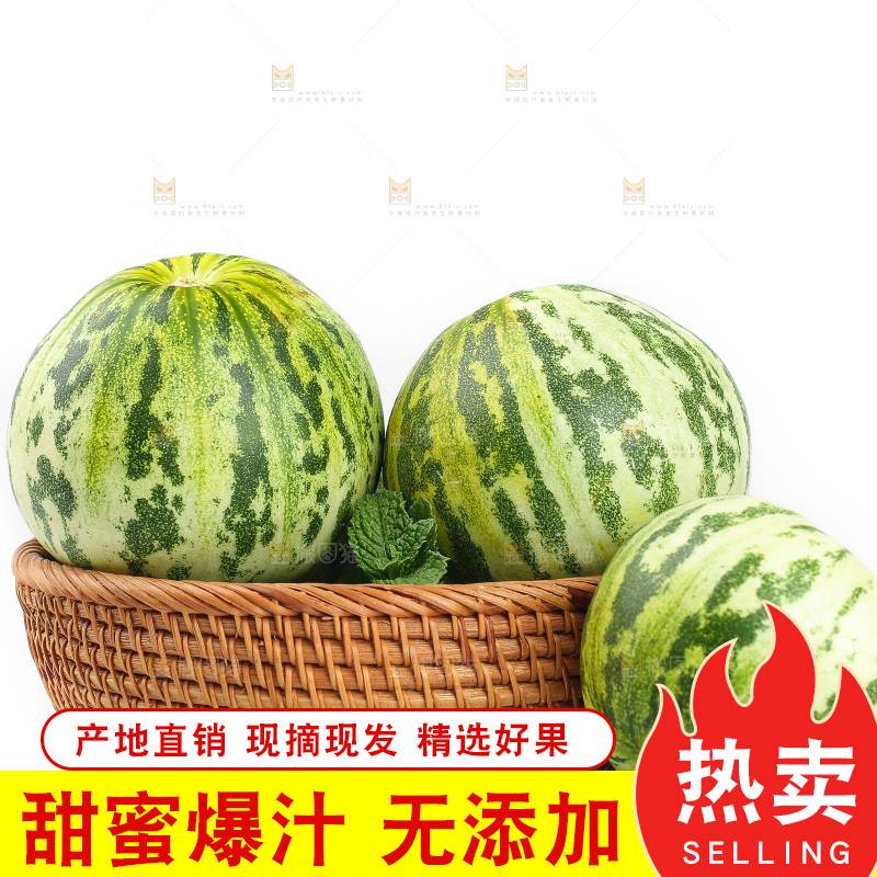 白底上的花蕾甜瓜