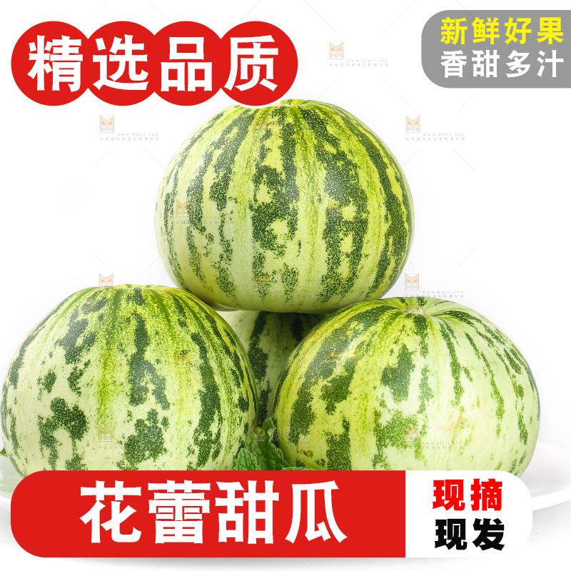 白底上的花蕾甜瓜