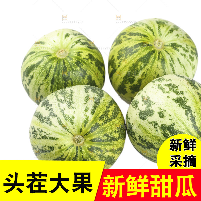 白底上的花蕾甜瓜