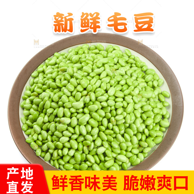 白底上的新鲜毛豆