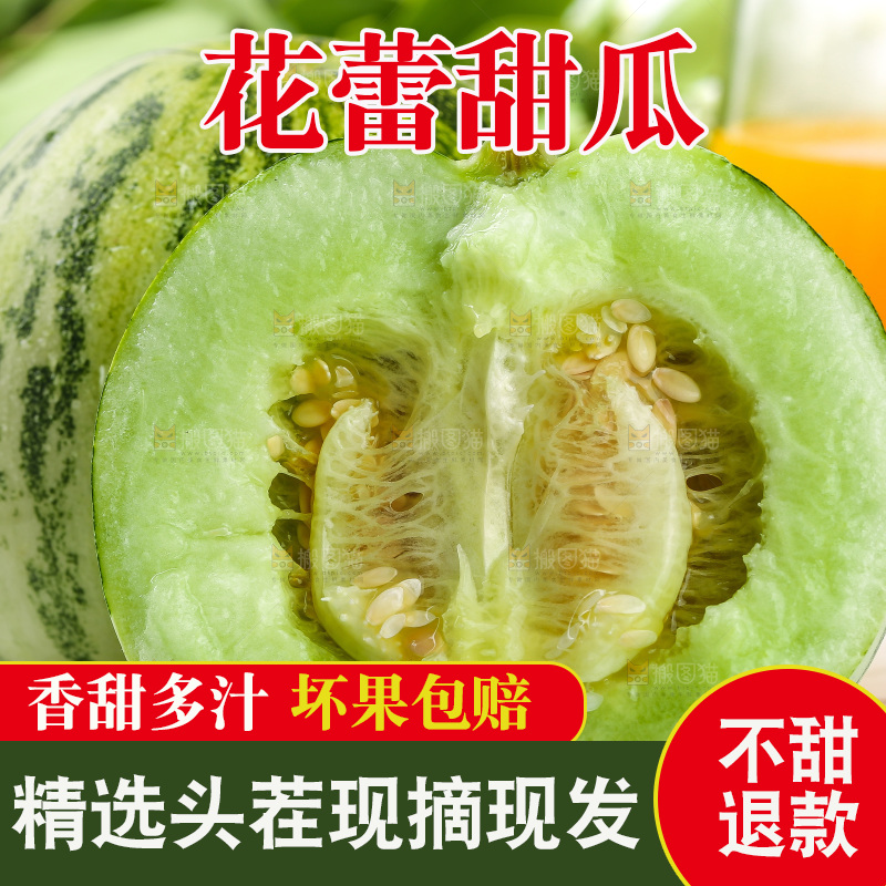 浅底上的花蕾甜瓜