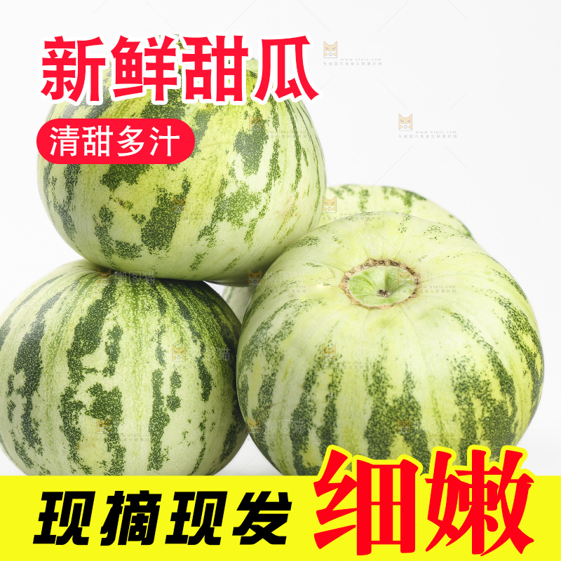白底上的花蕾甜瓜