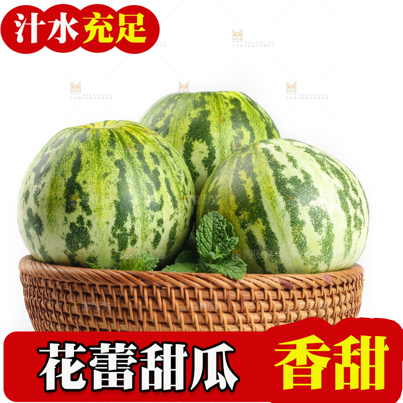 白底上的花蕾甜瓜