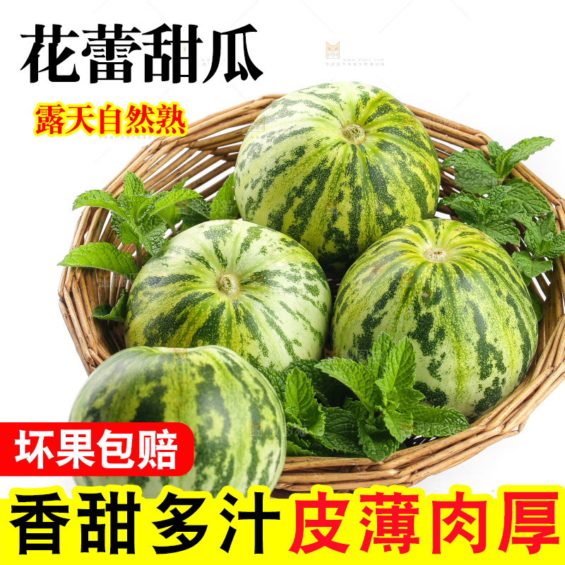 白底上的花蕾甜瓜
