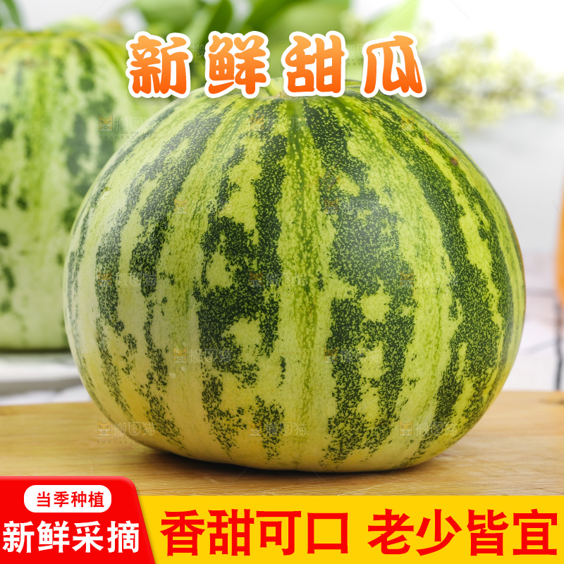 浅底上的花蕾甜瓜