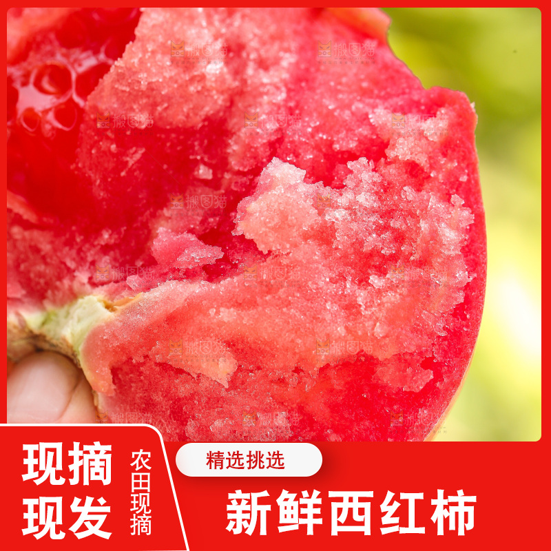 手里拿着沙瓤番茄