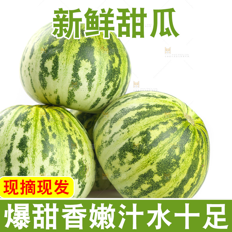 白底上的花蕾甜瓜