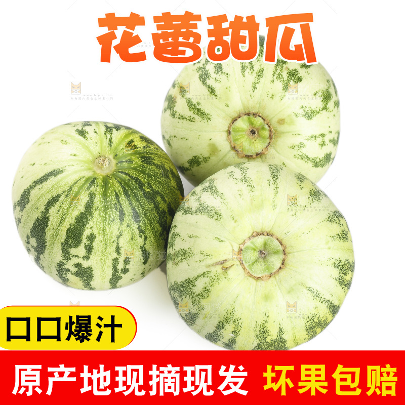 白底上的花蕾甜瓜