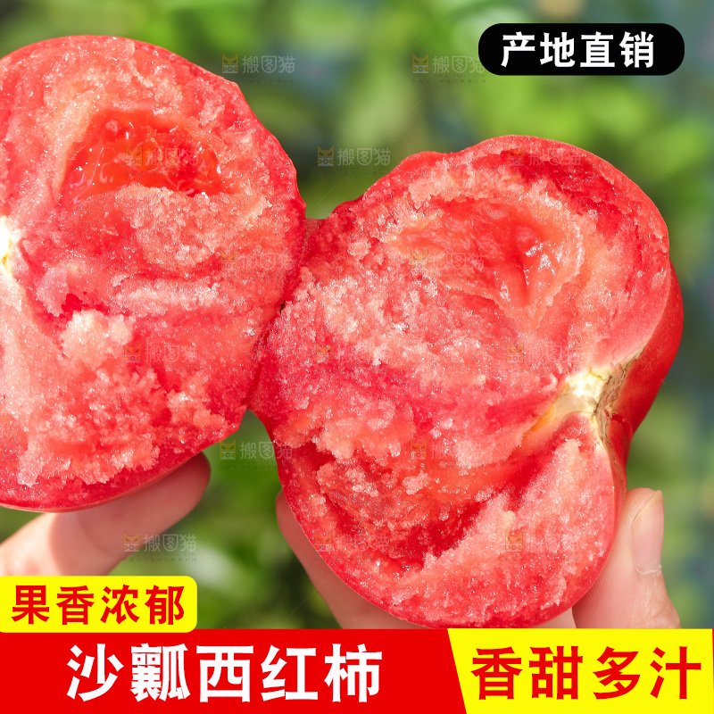 手里拿着沙瓤番茄