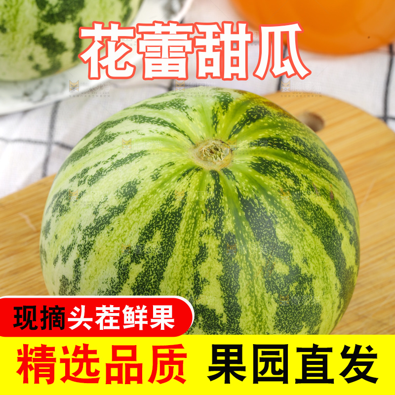 浅底上的花蕾甜瓜