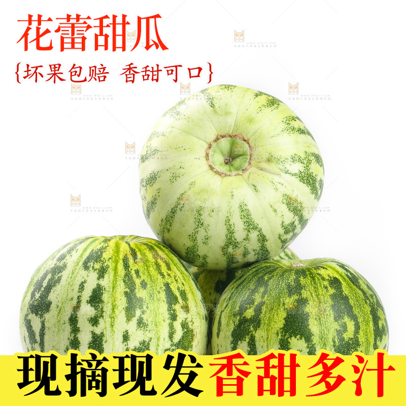 白底上的花蕾甜瓜