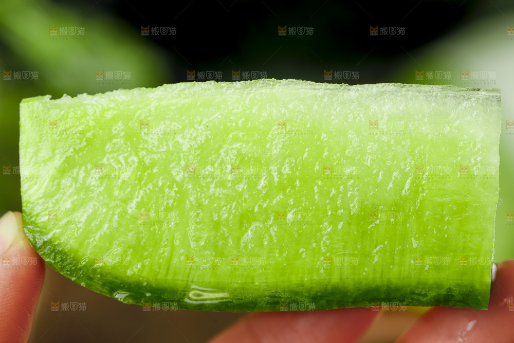 深底上的沙窝萝卜