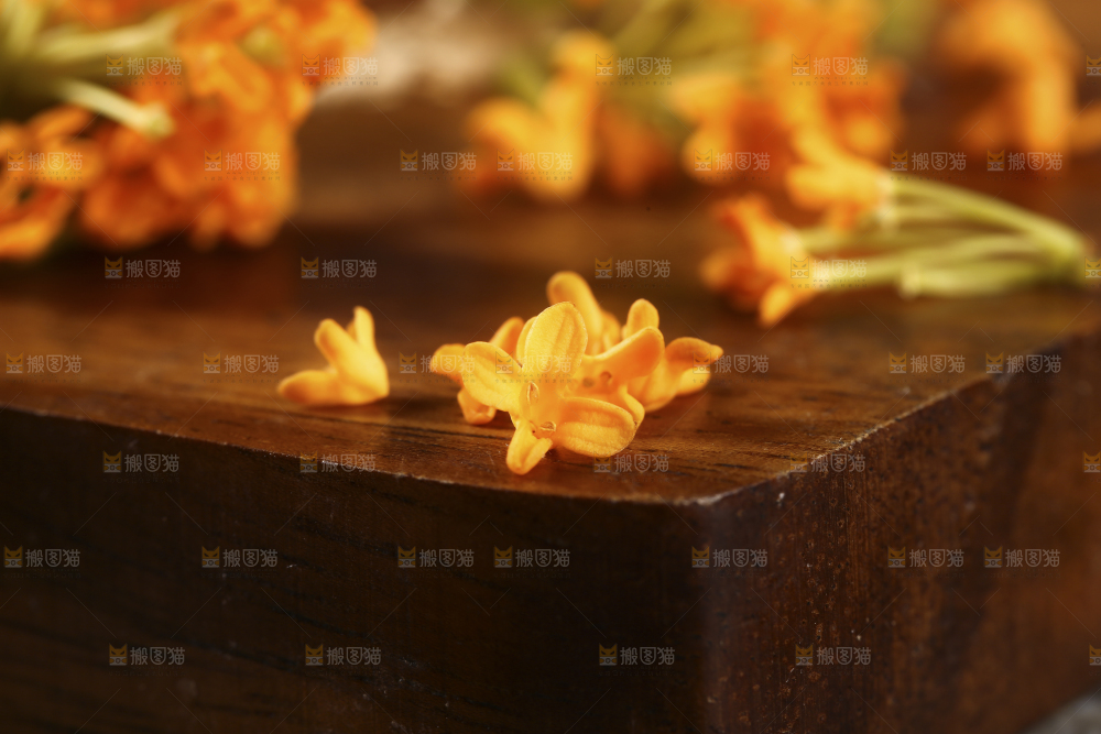 深底上的桂花