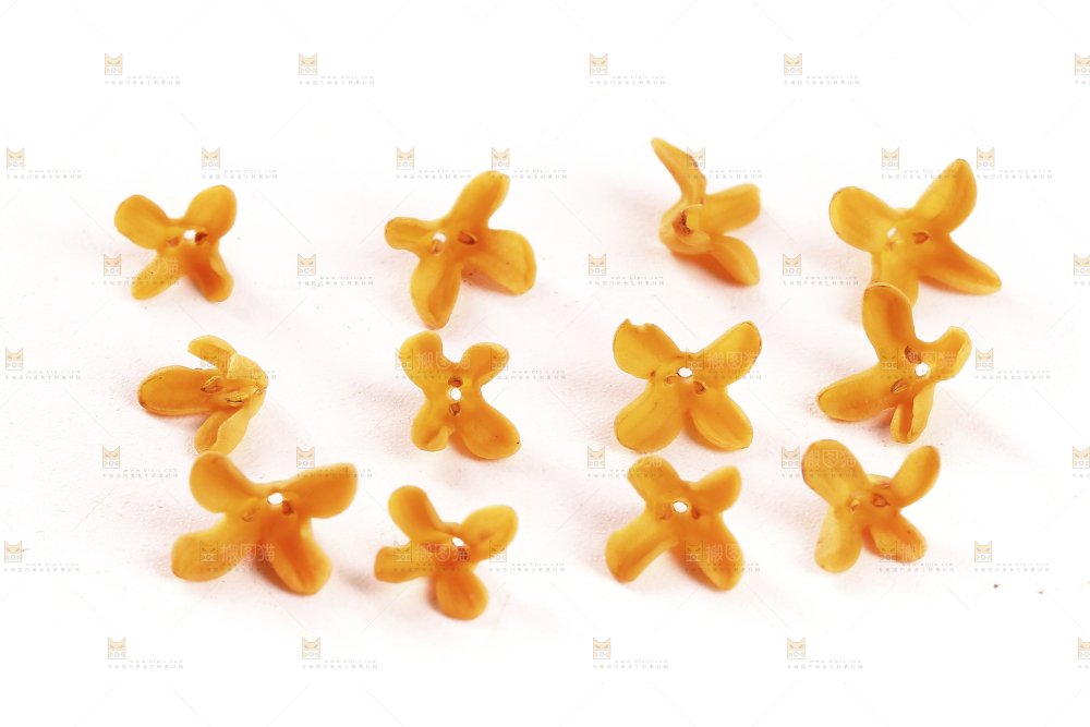 白底上的桂花