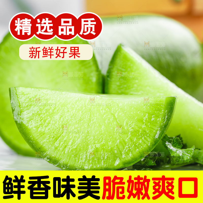 浅底上的沙窝萝卜