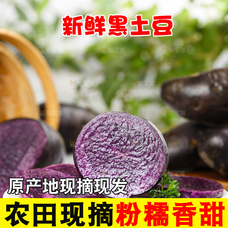 浅底上的紫土豆
