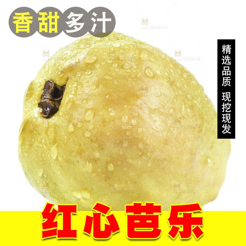 白底上的红心芭乐