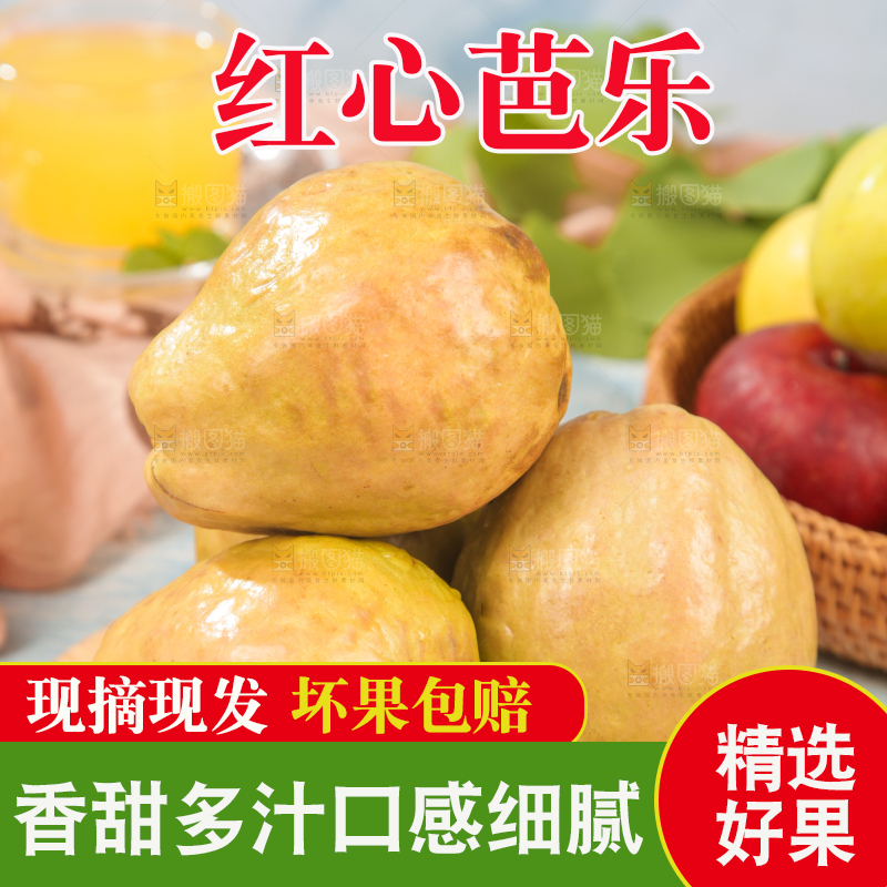 浅底上的红心芭乐