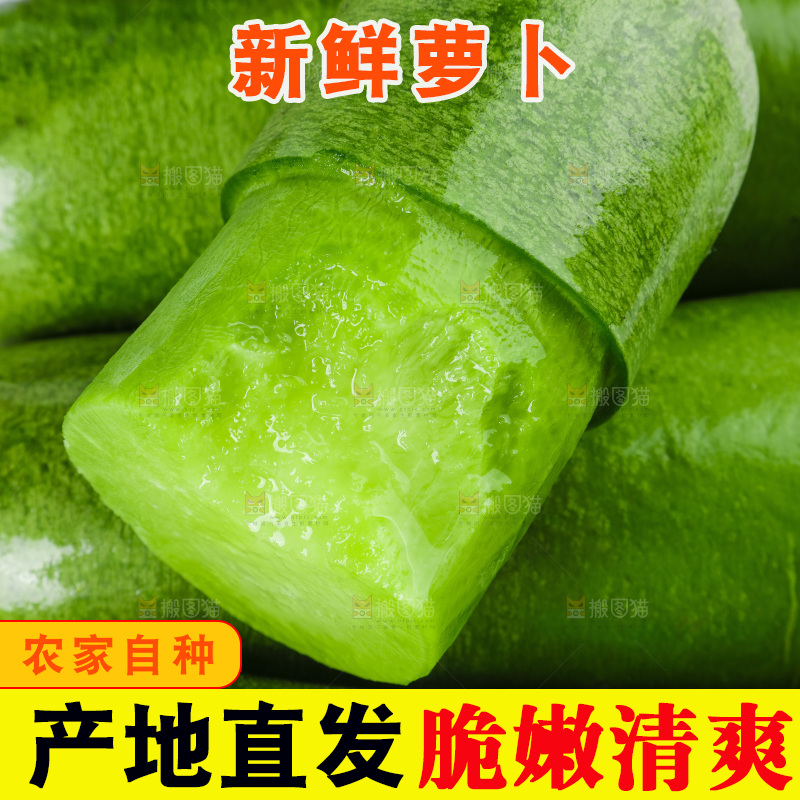 白底上的沙窝萝卜