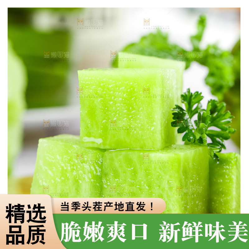 浅底上的沙窝萝卜