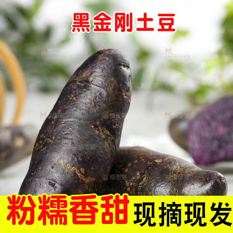 浅底上的紫土豆