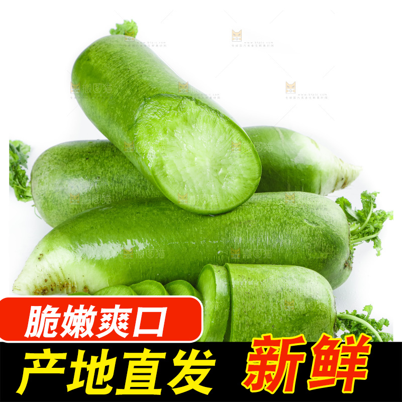 白底上的沙窝萝卜