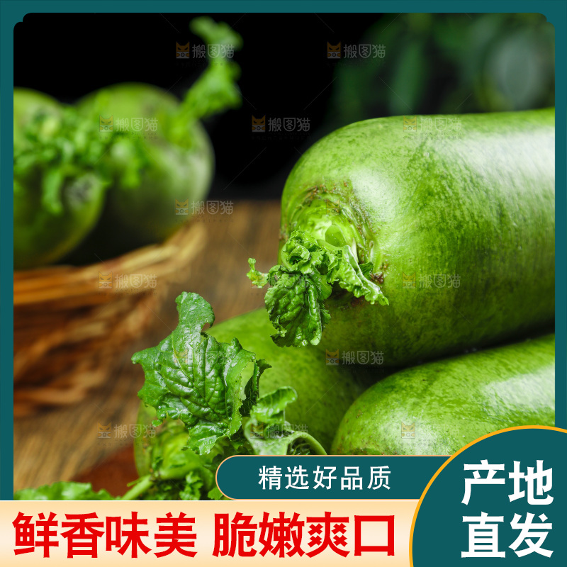 深底上的沙窝萝卜