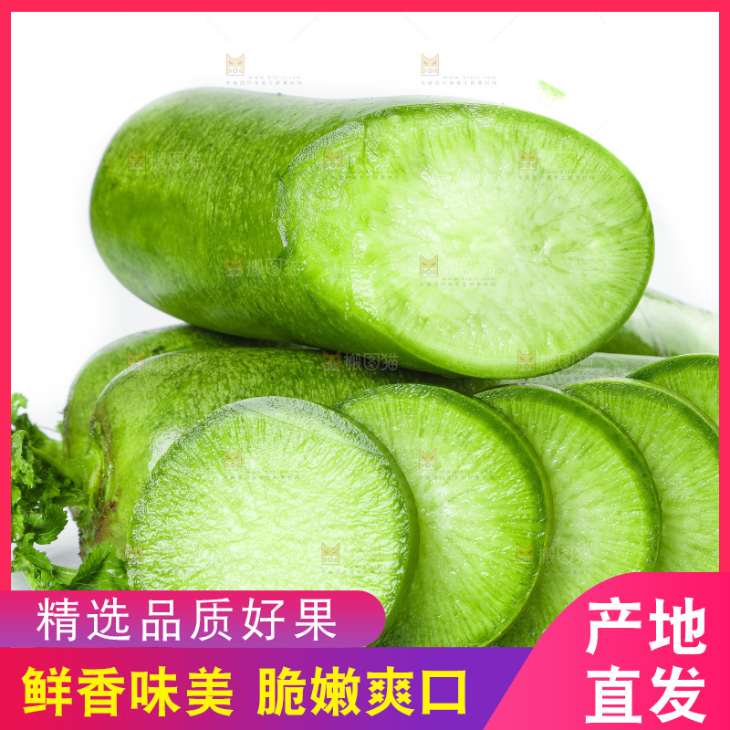 白底上的沙窝萝卜