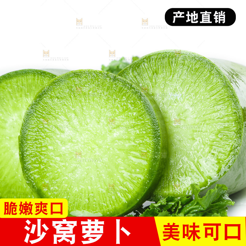 白底上的沙窝萝卜