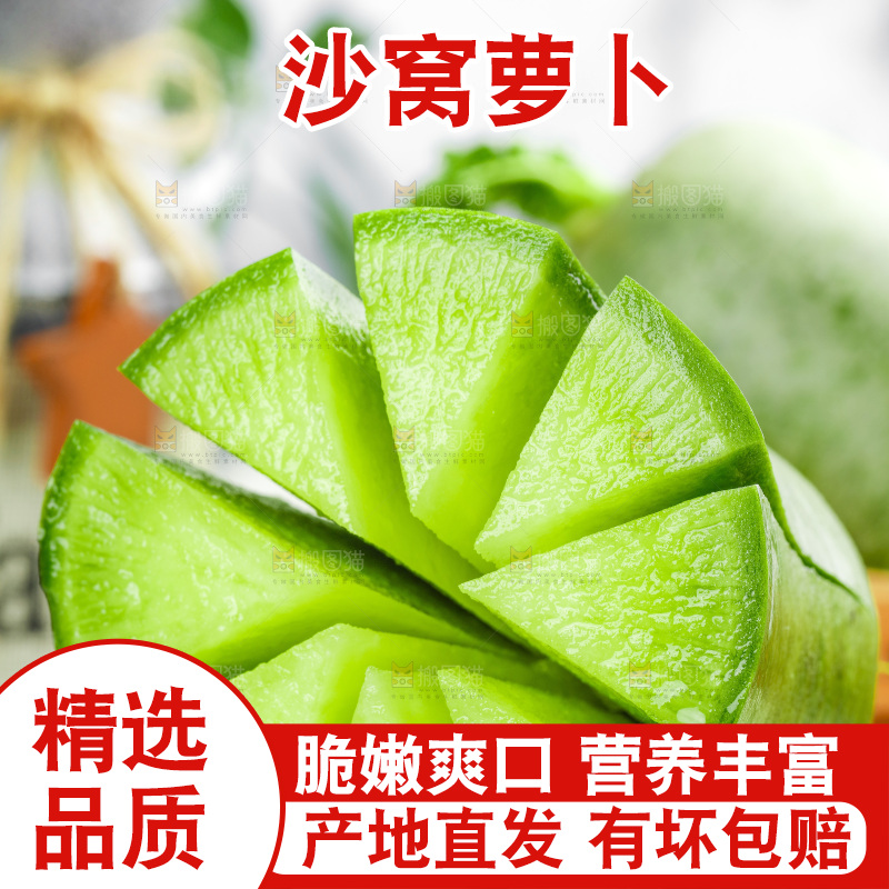 浅底上的沙窝萝卜