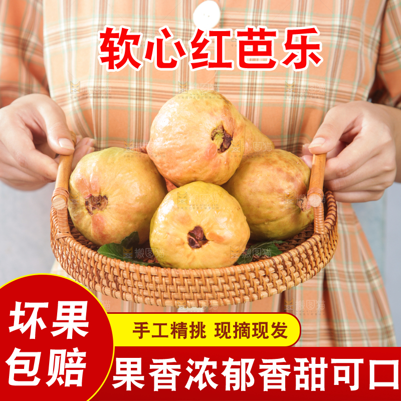 浅底上的红心芭乐