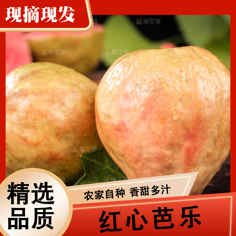 深底上的红心芭乐