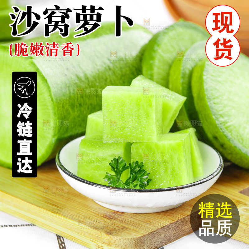 浅底上的沙窝萝卜