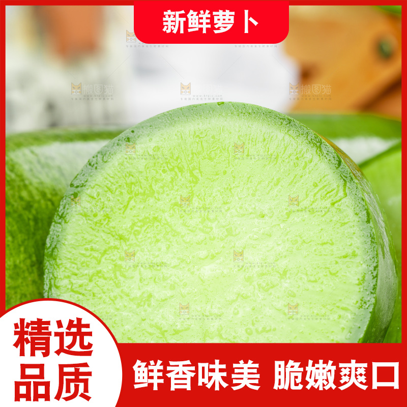 浅底上的沙窝萝卜