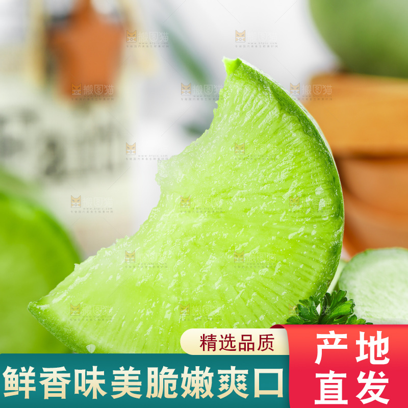 浅底上的沙窝萝卜