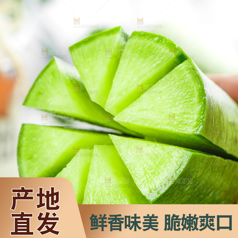 浅底上的沙窝萝卜