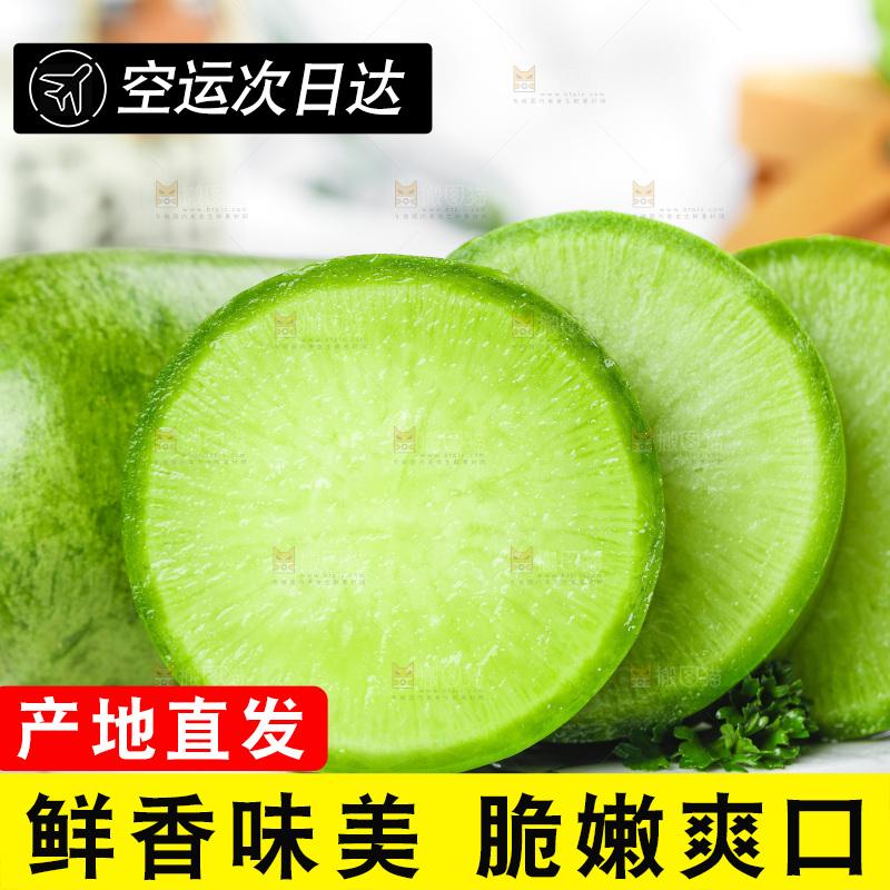 浅底上的沙窝萝卜