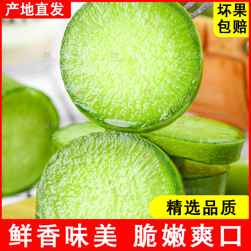 浅底上的沙窝萝卜