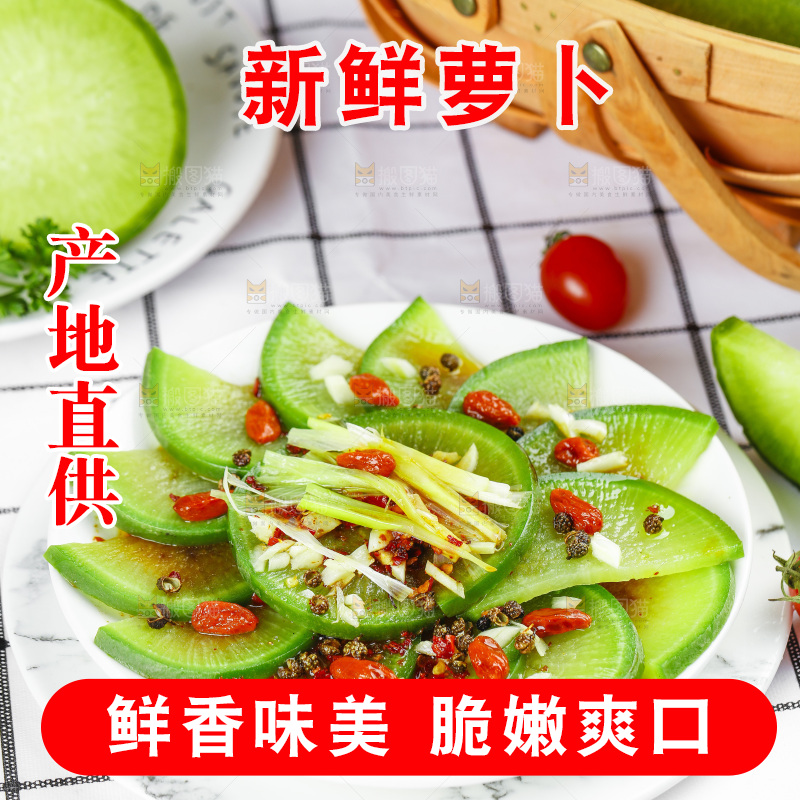 浅底上的沙窝萝卜