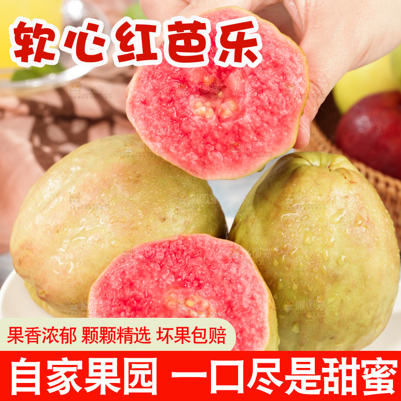 浅底上的红心芭乐