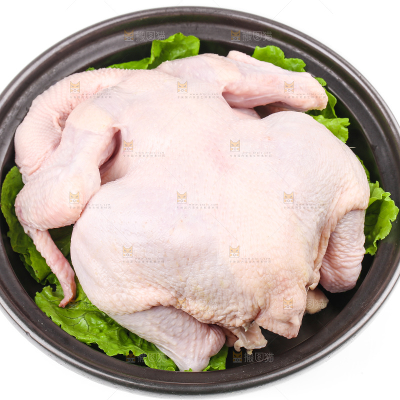 白底上的生鲜鸡肉